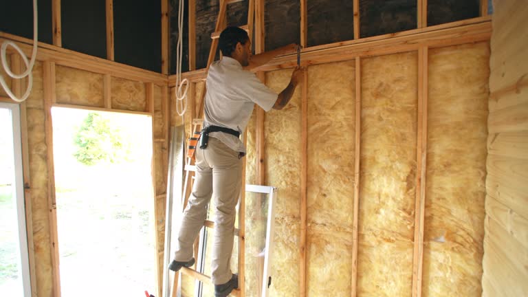 Trusted Hoopers Creek, NC Insulation Experts